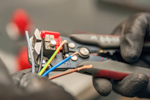 Best Electric Panel Repair  in Albion, IL