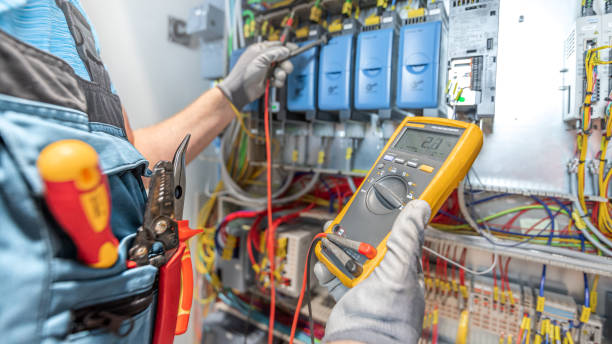 Best Electrician for Home Renovation  in Albion, IL